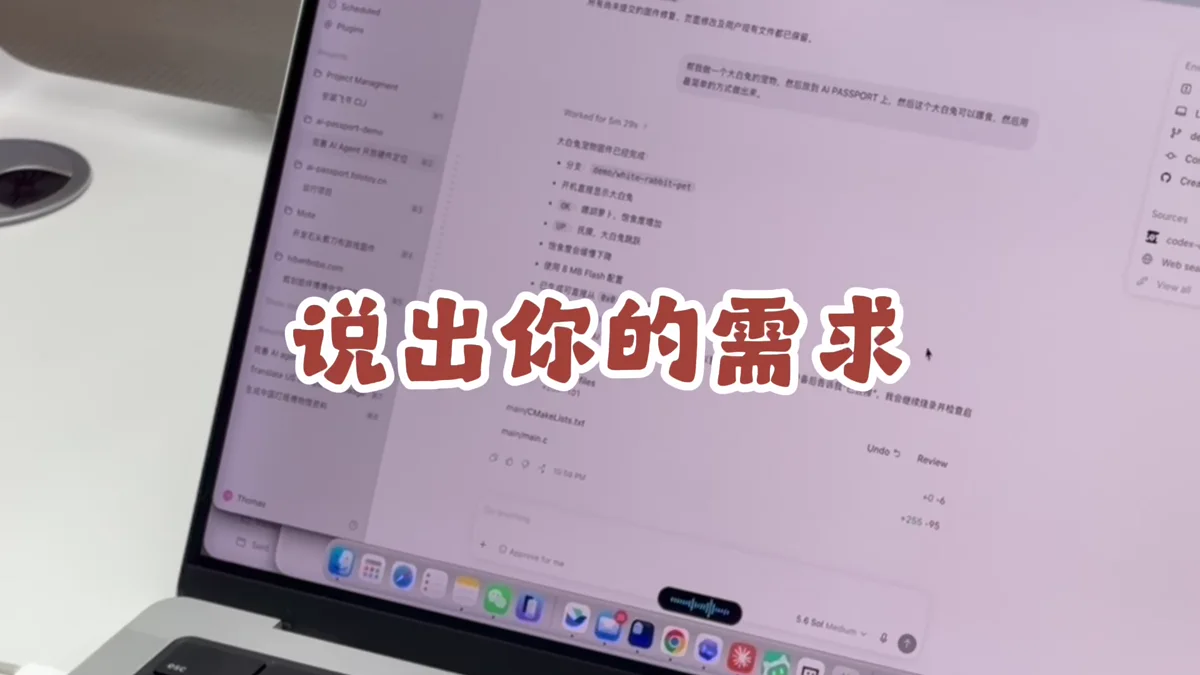 Describing an AI Passport play in Codex